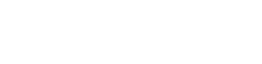L'Artista