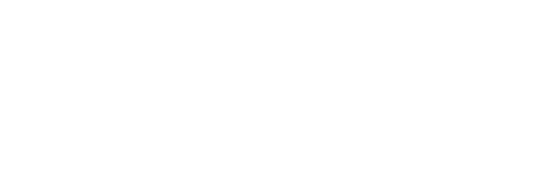 BNK Wines