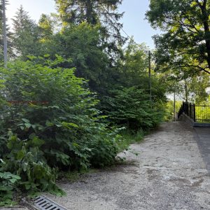 Парцел в Бояна - 11