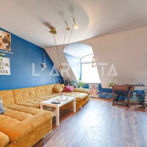 Spacious one-bedroom apartment with a great view of Vitosha! - 4