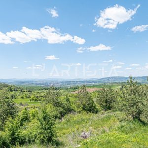Luxury house with a 900-square-meter yard in the prestigious gated community of Delta Hill, Kladnitsa Village - 5
