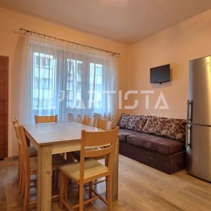 Well-maintained one-bedroom apartment on Graf Ignatiev Street - 3