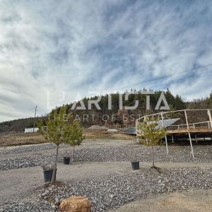 House - Kyustendil, region, village of Bunovo - 13